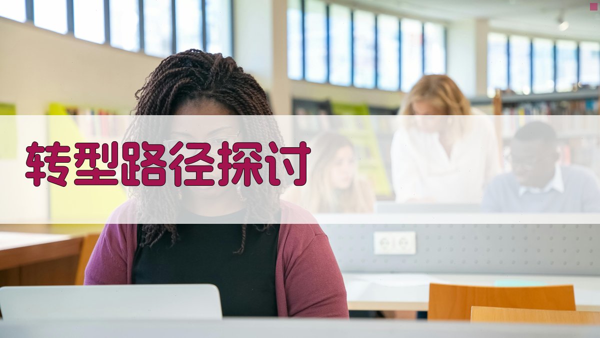 转型路径探讨 图3