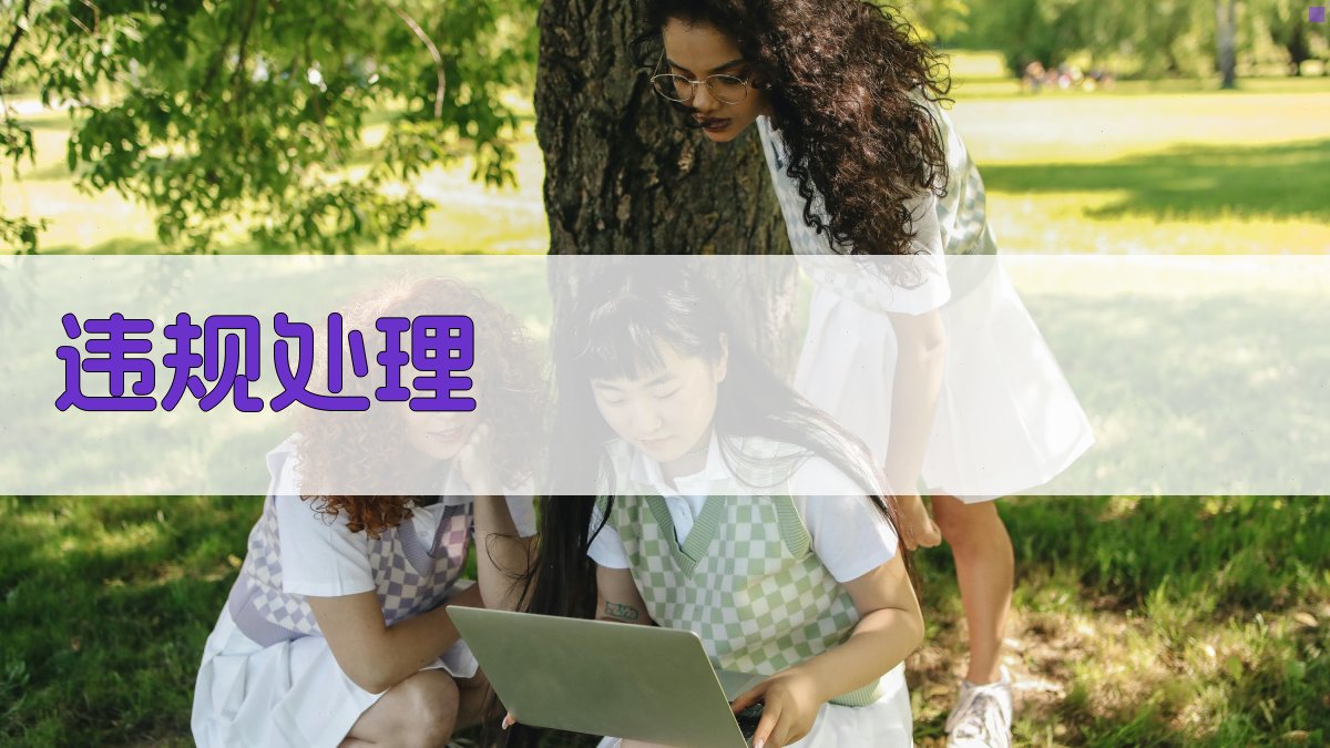 违规处理 图2