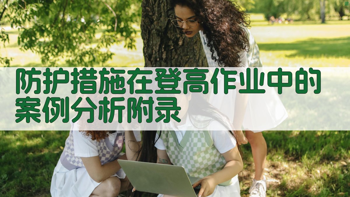 防护措施在登高作业中的案例分析 · 附录 图3