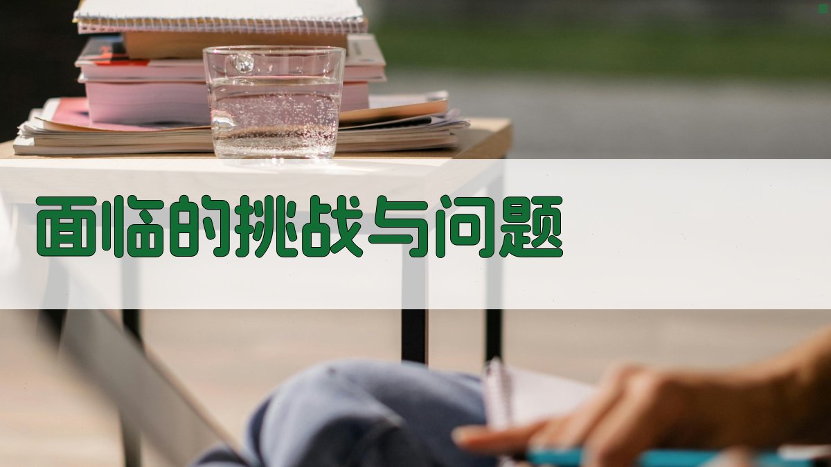 面临的挑战与问题 图2