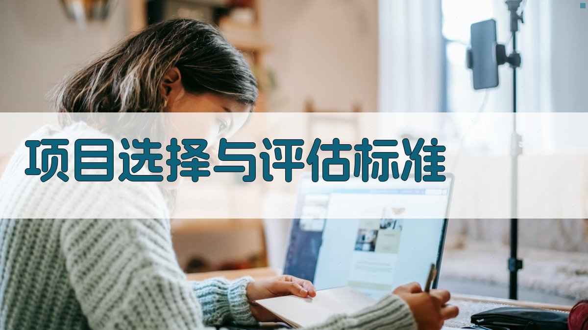 项目选择与评估标准 图2