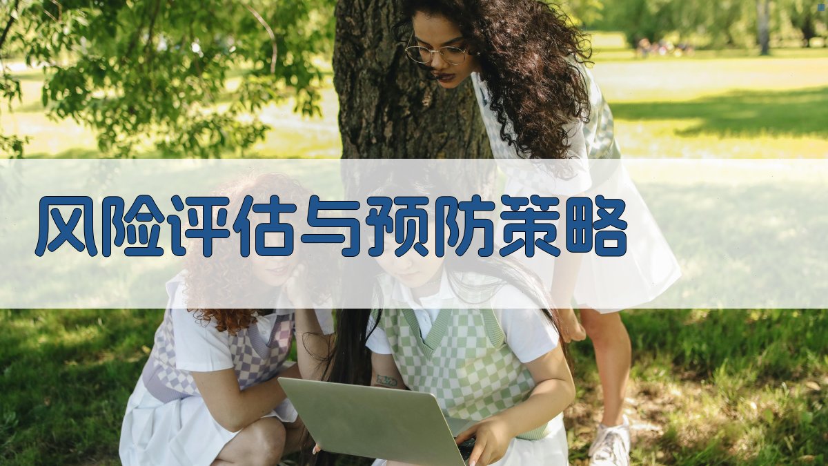 风险评估与预防策略 图2