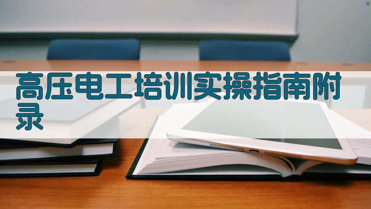 高压电工培训实操指南 · 附录 图3