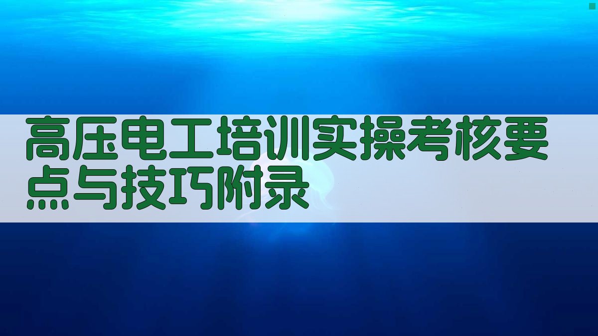 高压电工培训实操考核要点与技巧 · 附录 图4