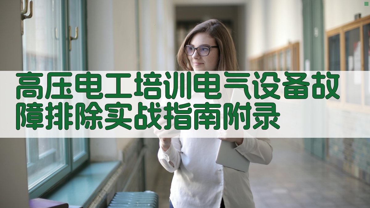 高压电工培训电气设备故障排除实战指南 · 附录 图3