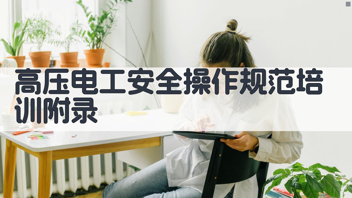 高压电工安全操作规范培训 · 附录 图2
