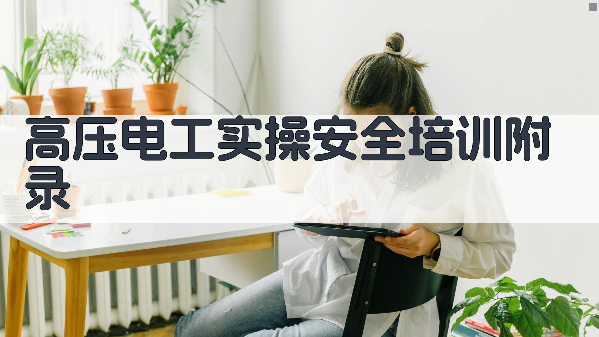 高压电工实操安全培训 · 附录 图4