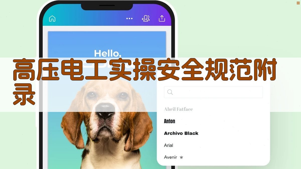 高压电工实操安全规范 · 附录 图4