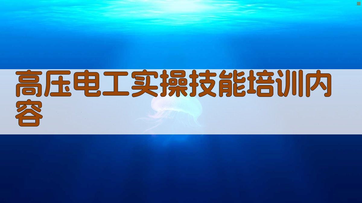 高压电工实操技能培训内容 图2