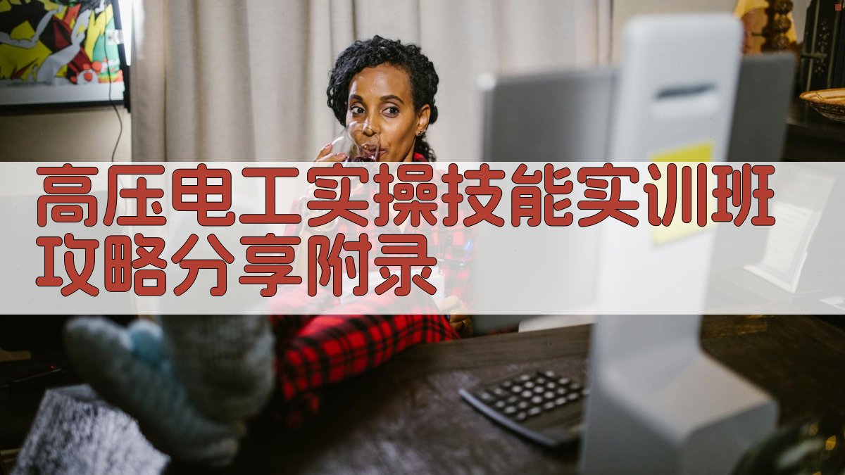 高压电工实操技能实训班攻略分享 · 附录 图3