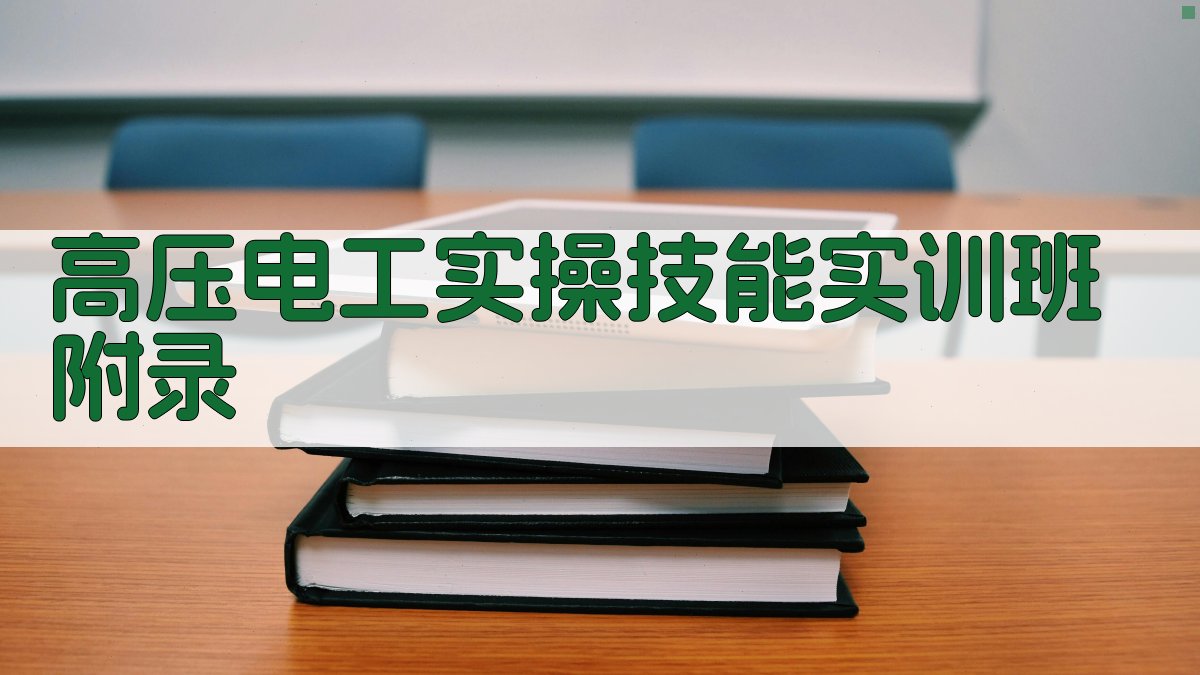 高压电工实操技能实训班 · 附录 图3