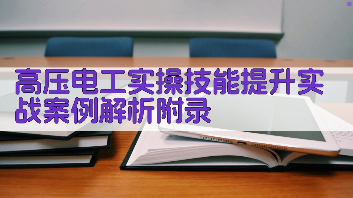 高压电工实操技能提升实战案例解析 · 附录 图3