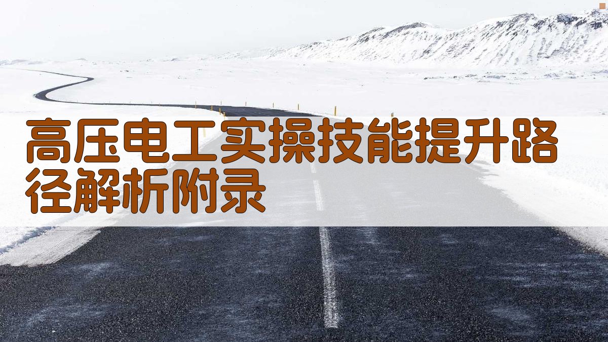高压电工实操技能提升路径解析 · 附录 图4
