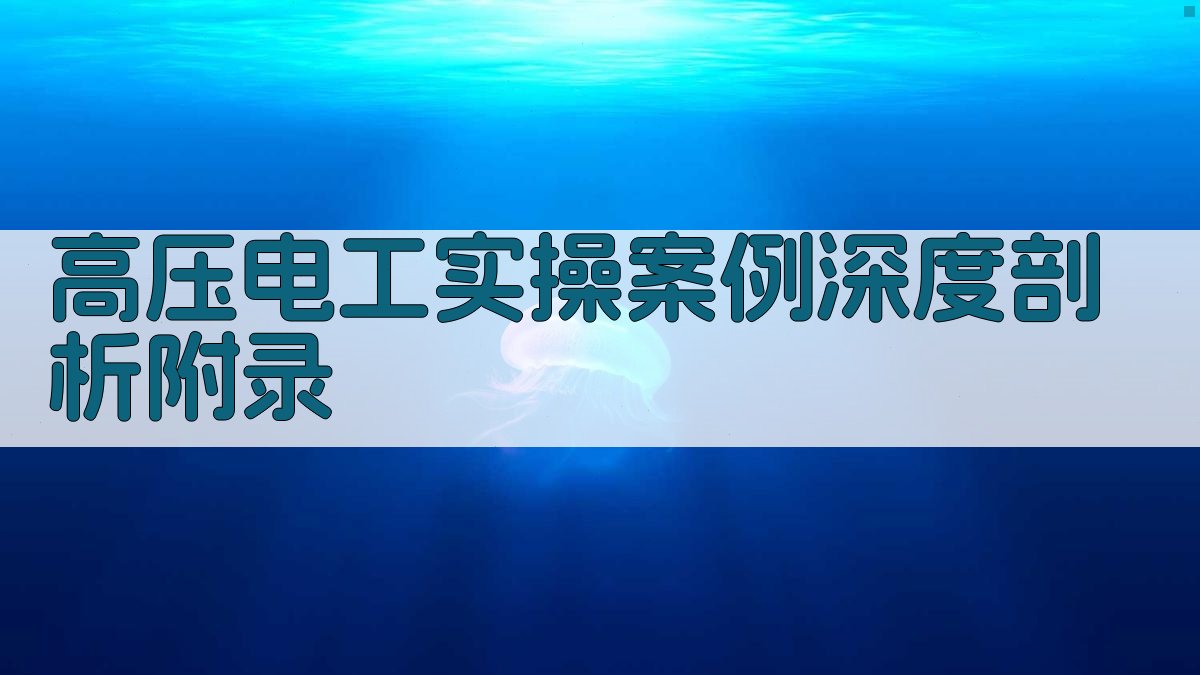 高压电工实操案例深度剖析 · 附录 图4
