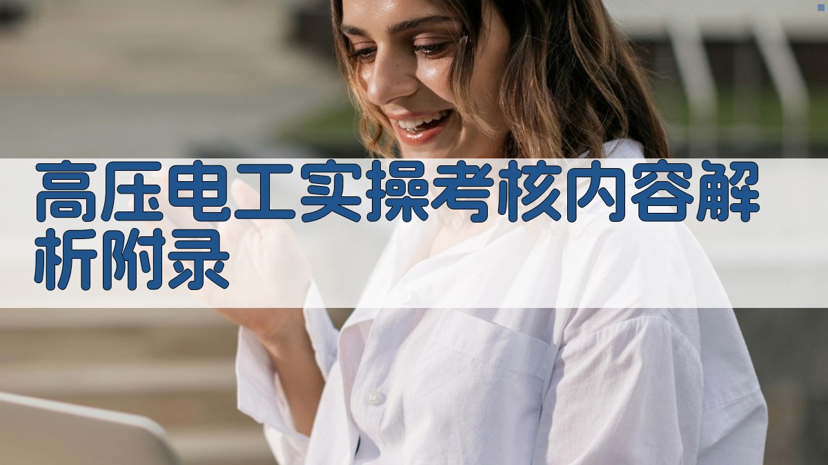 高压电工实操考核内容解析 · 附录 图4