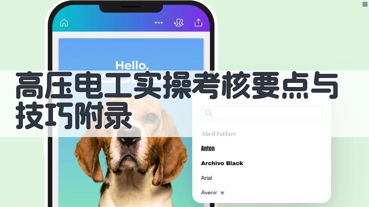 高压电工实操考核要点与技巧 · 附录 图2