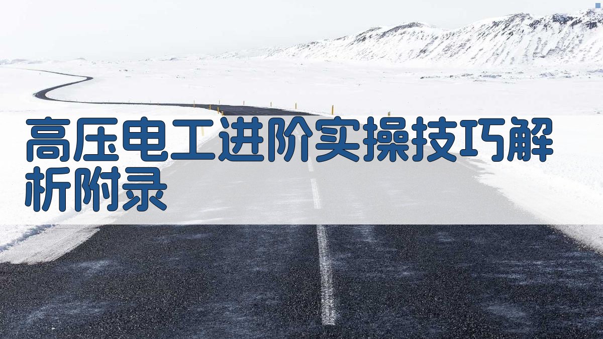 高压电工进阶实操技巧解析 · 附录 图3