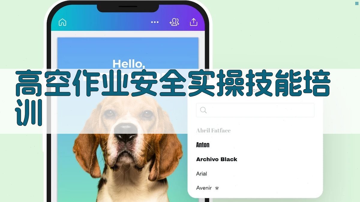 高空作业安全实操技能培训 图2
