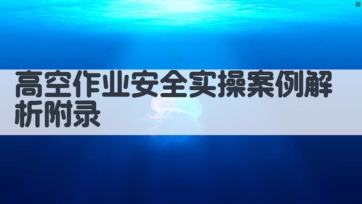 高空作业安全实操案例解析 · 附录 图3