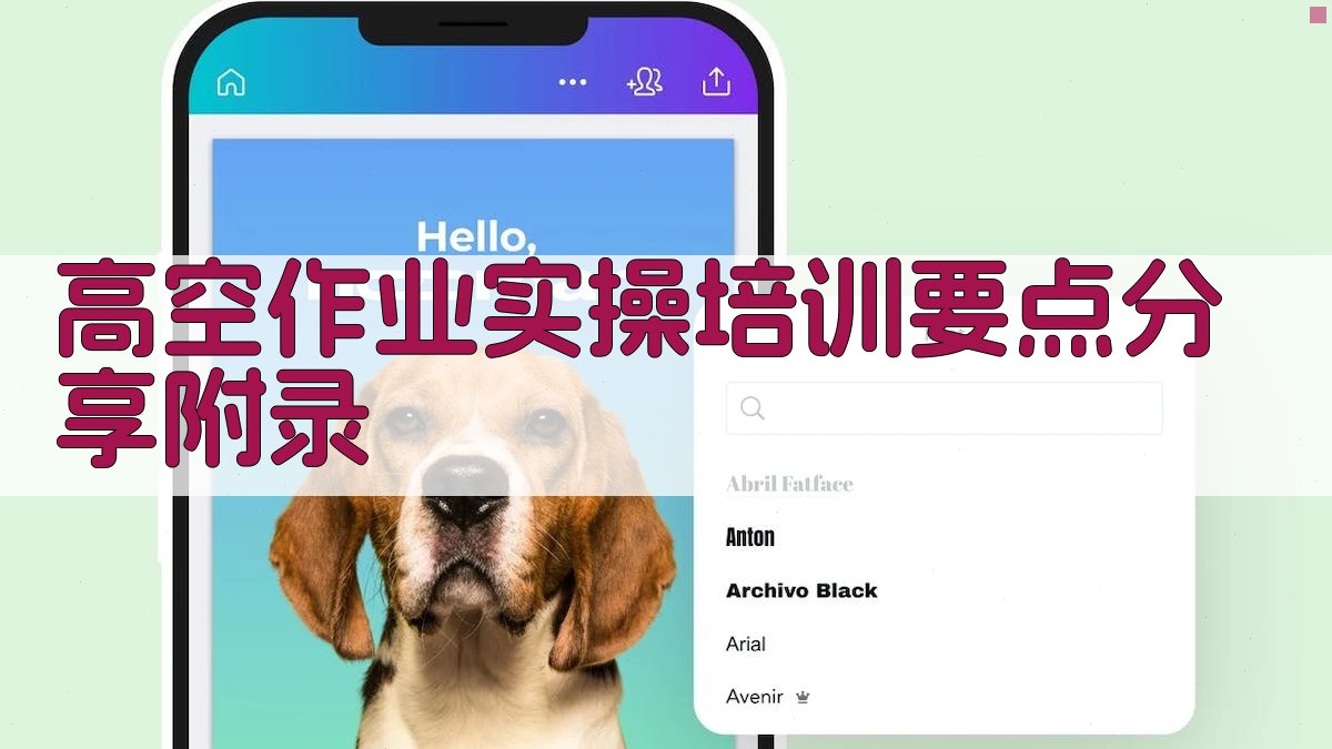 高空作业实操培训要点分享 · 附录 图4