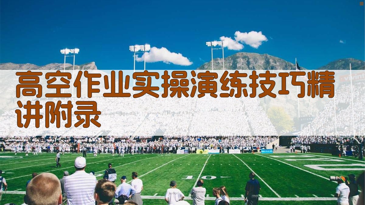 高空作业实操演练技巧精讲 · 附录 图4